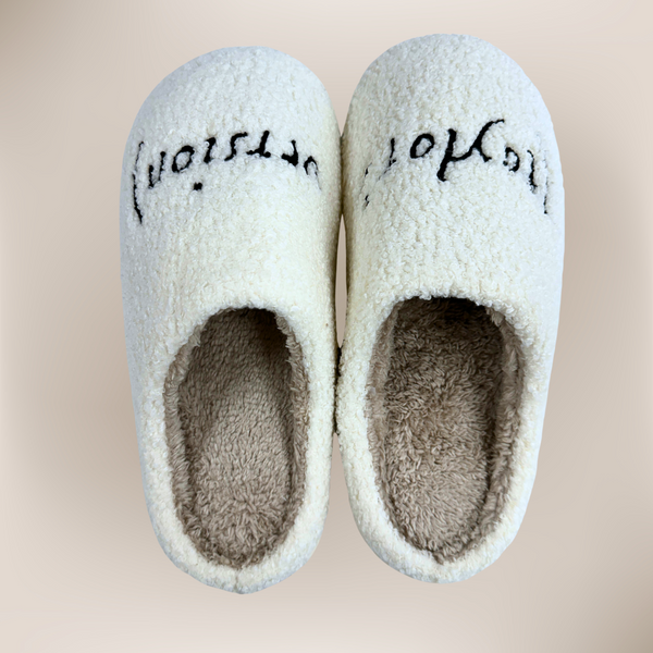 (Taylor's Version) Cozy Slippers